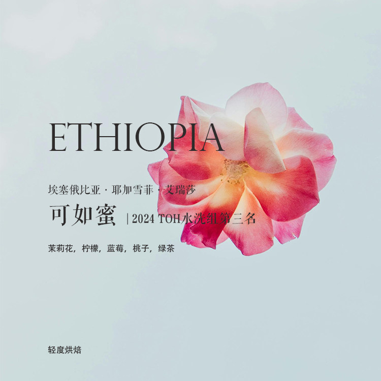 质能方程 咖啡豆埃塞俄比亚Ethiopia可如蜜 TOH水洗组第三名 - 实物图