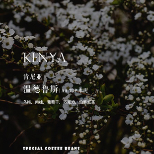 咖啡熟豆 深度烘焙 咖啡豆下单烘焙 肯尼亚Kenya温德鲁斯微批次