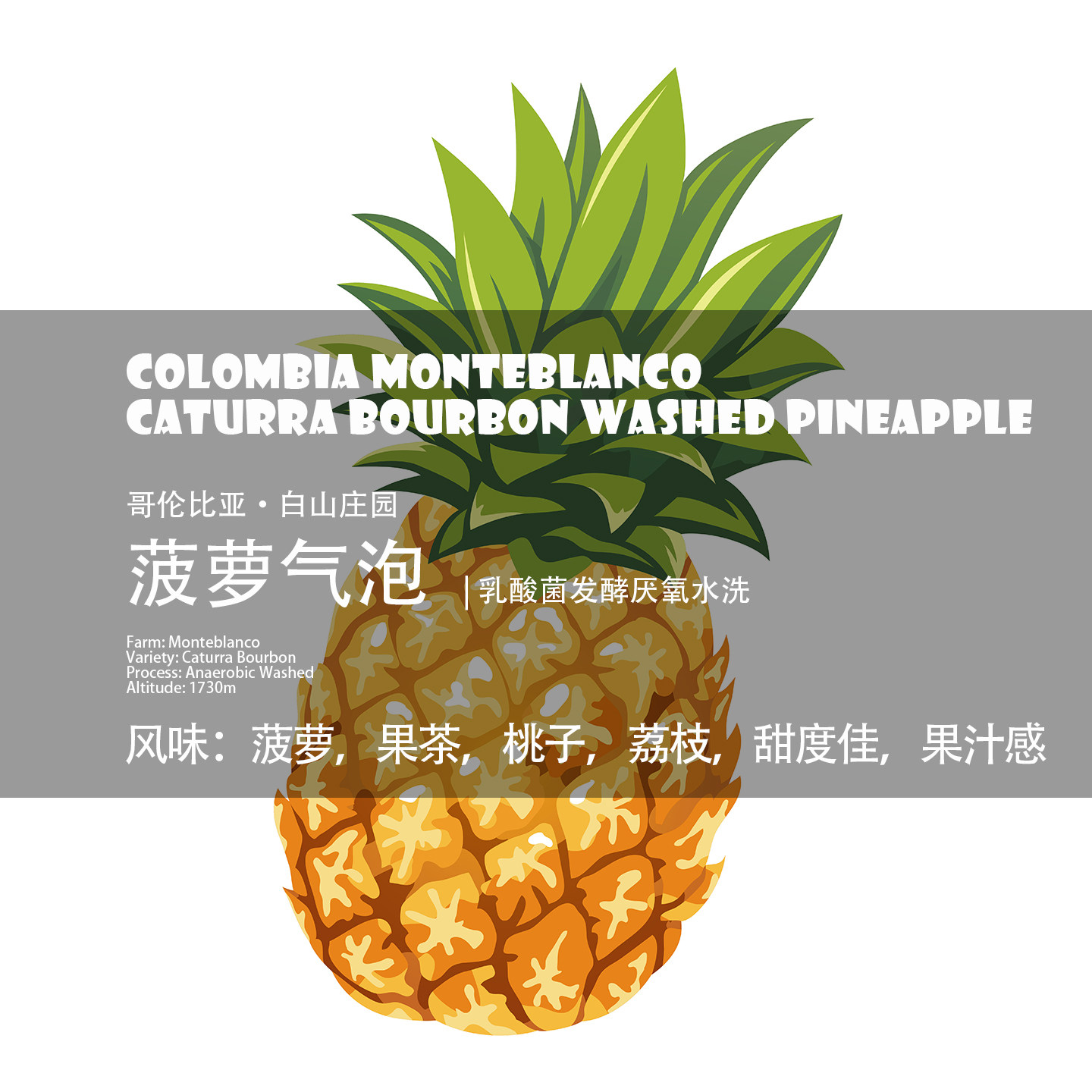 咖啡豆哥伦比亚Colombia菠萝气泡Pineapple乳酸菌发酵厌氧水洗 - 实物图