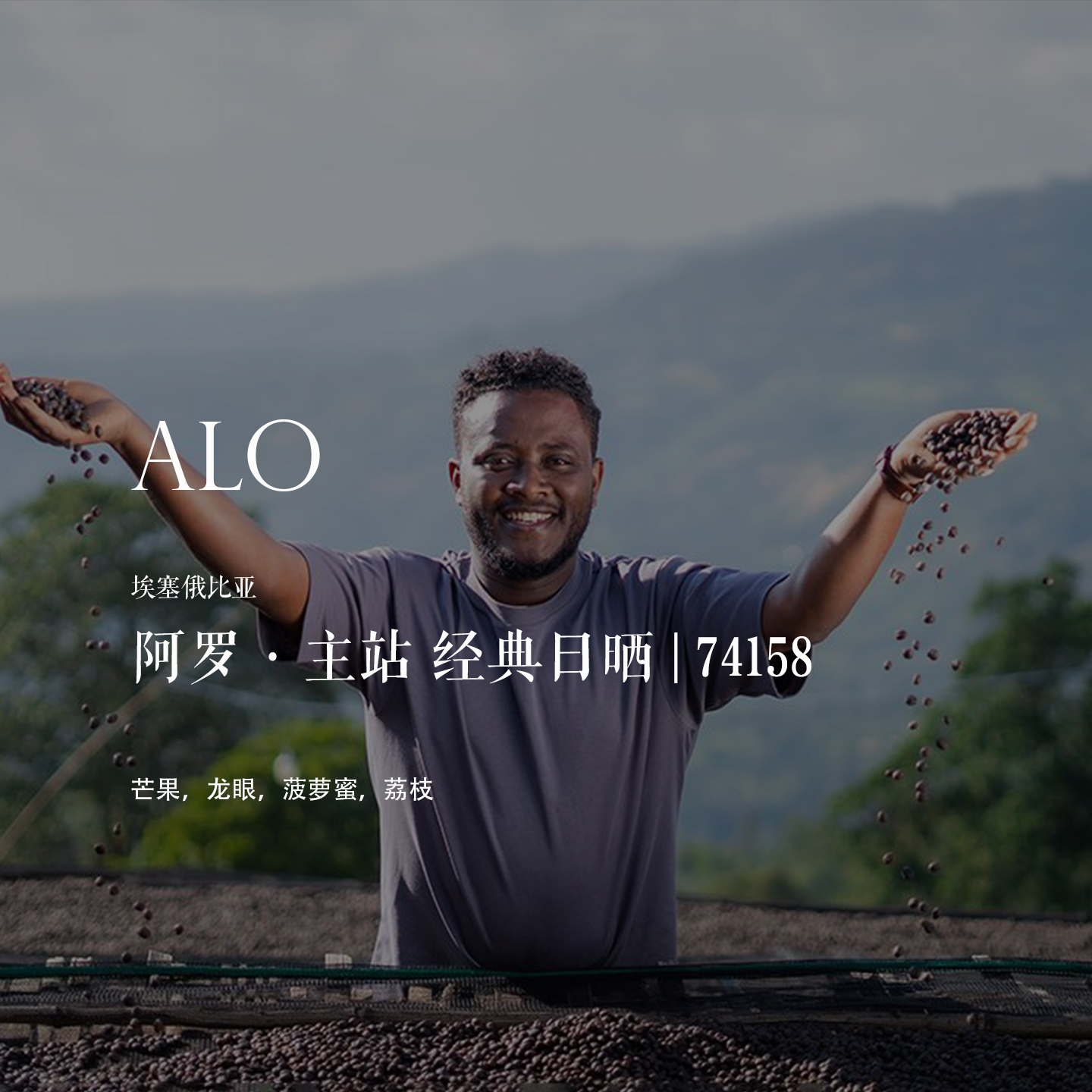 咖啡熟豆ALO主站经典日晒74158