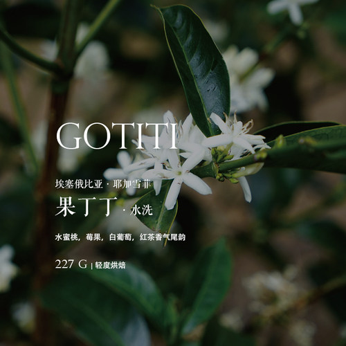 埃塞俄比亚咖啡豆果丁丁水洗浅烘