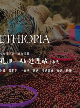 咖啡豆下单烘焙 Ethiopia埃塞俄比亚耶加雪菲孔加Alo处理站水洗