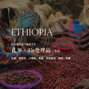 咖啡豆下单烘焙 Ethiopia埃塞俄比亚耶加雪菲孔加Alo处理站水洗