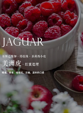 咖啡豆下单烘焙 哥斯达黎加Costa Rica美洲虎红蜜处理 圣荷西小农