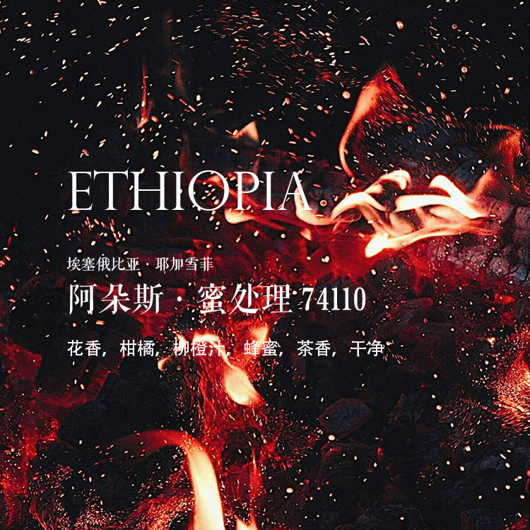 埃塞咖啡熟豆阿朵斯74110蜜处理