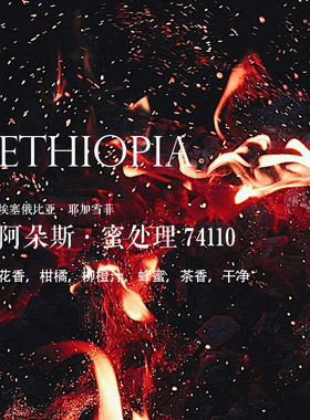 咖啡豆埃塞俄比亚Ethiopia阿朵斯蜜处理74110 Adorsi Honey