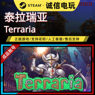 泰拉瑞亚 可换绑邮箱 Steam成品账号 Terraria 零时长白号