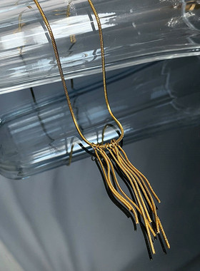 钛钢长款流苏项链小众锁骨链女