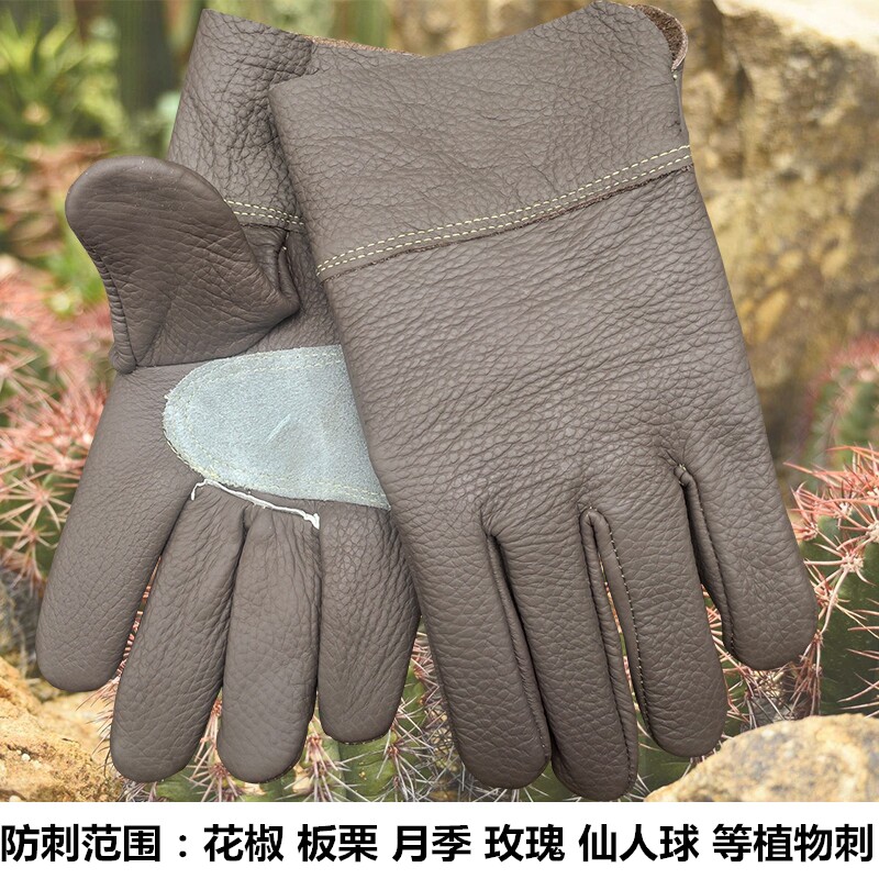修剪月季玫瑰花仙人掌球加厚牛皮园艺园丁防刺手套防扎灵活透气在类目 居家日用, 防护用品, 防护手套中 - 来自Buy2taobao.com提供专业的淘宝代购服务