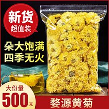 正宗黄菊花500g特级婺源皇菊花茶小黄菊花干另售金丝皇菊贡菊胎菊