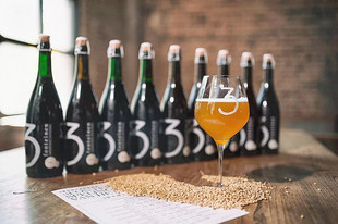 FONTEINEN 三泉天神之选啤酒750ml 限量款 惠同学 3泉