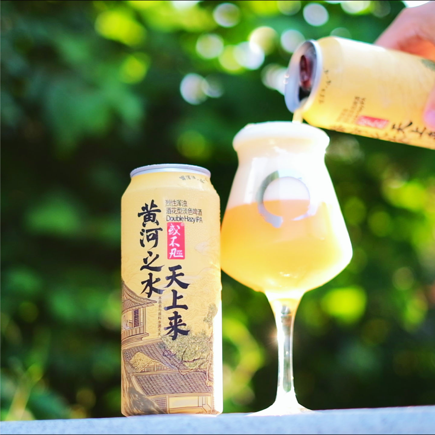 顺丰包邮或不凡黄河之水囚牛啤酒图片