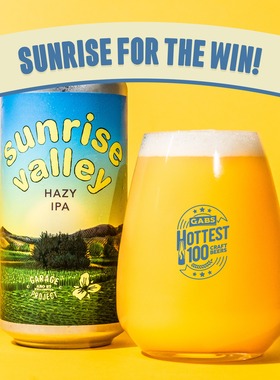 车库计划日出山谷/银河/玛塔基山谷/毒草/味觉冲击海盐啤酒440ml