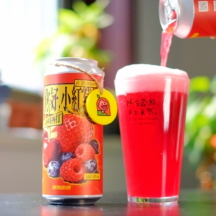 惠同学 你好小红莓 夏日恰恰思慕雪果泥 473ML精酿啤酒 野鹅微醺