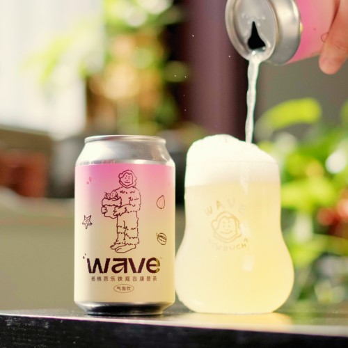 纸飞机 佛手香柚茉莉/杨桃芭乐铁观音/香格里拉苹果铁观音康普茶