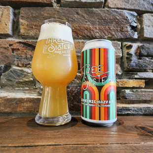 惠同学 金兰姐妹流言蜚语几何7号毛绒熊猫太空奶昔桑巴 精酿啤酒