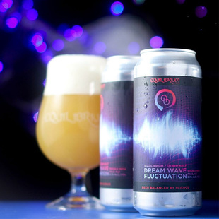 惠同学 稳态梦境波动/太空卡斯托啤酒 美国精酿