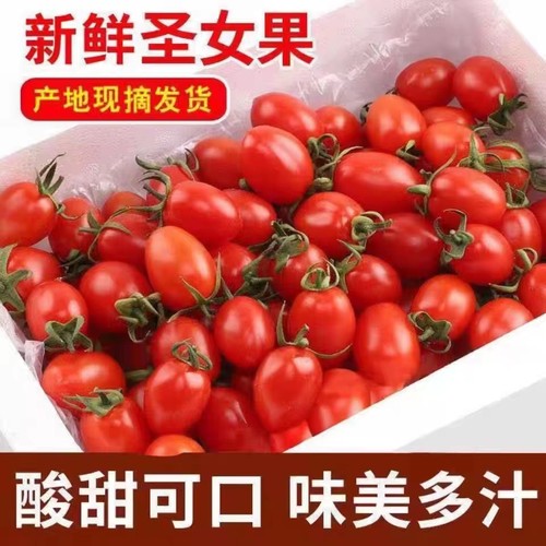 新鲜圣女果做冰糖葫芦小西红柿