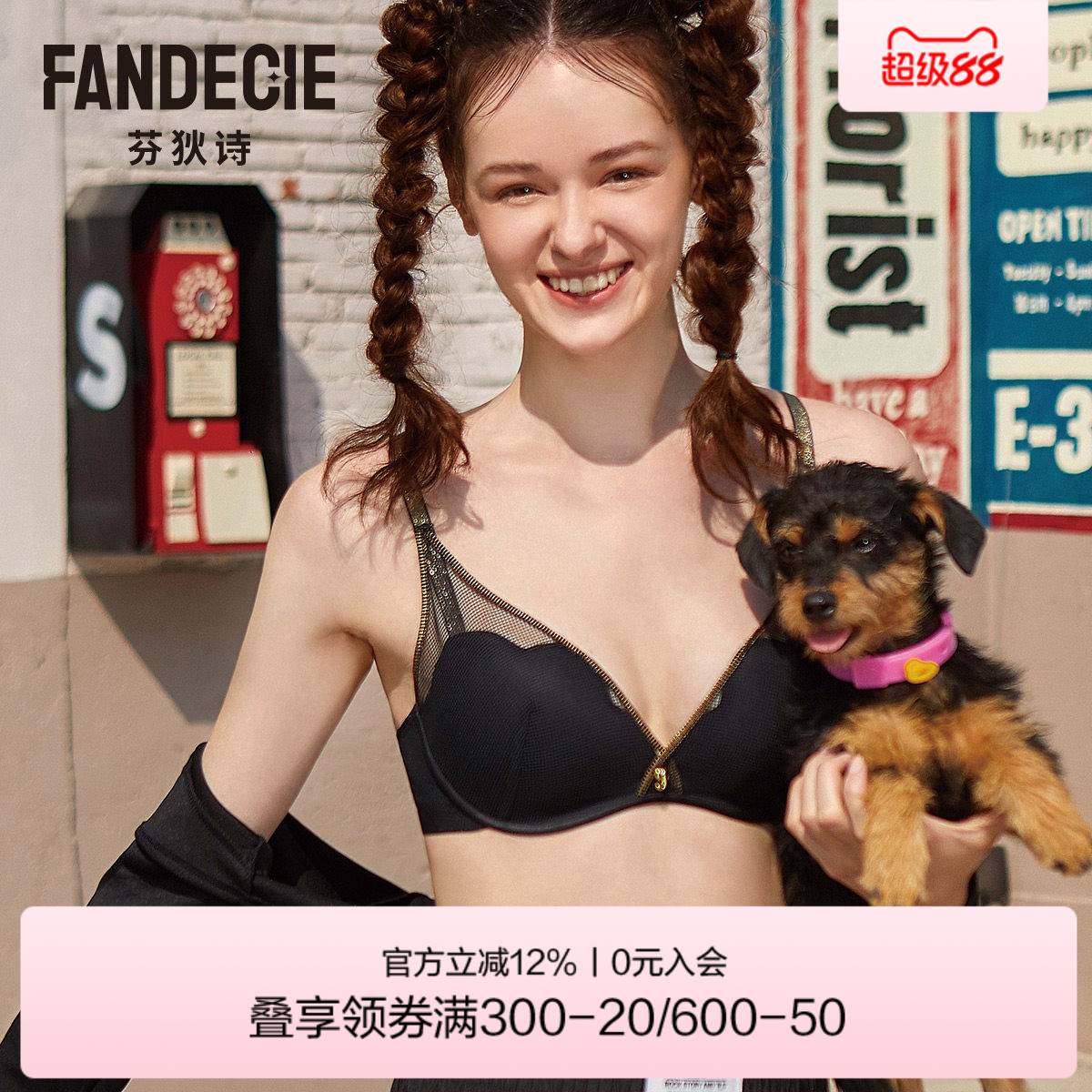 【喵喵杯】芬狄诗无钢圈内衣女网纱厚杯小胸上托聚拢文胸FB00276