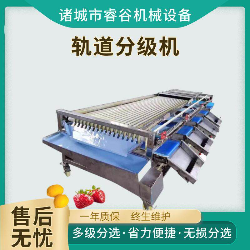 全自动低噪音杨梅分级机 李子选果机洋葱筛选机 轨道式水果分级机