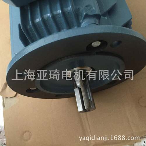 QABP100L4B-3W-4-B5-IC416立式变频电机