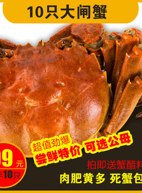 六月黄螃蟹10只顺丰包邮