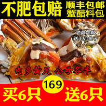 包邮 大闸蟹买6送6只公母蟹洪泽湖原产地现货螃蟹河蟹鲜活死蟹包赔