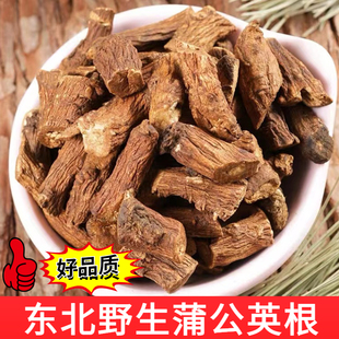 长白山笨工炒制大根蒲公英根婆婆丁根泡水250克包邮