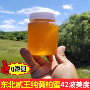 黄柏蜜新蜜成熟蜜深山无人区无污染42波美度蜂蜜