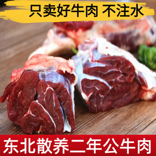 牛肉散养二岁公牛冷冻3到4天左右发货