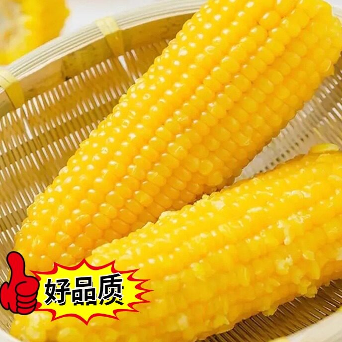 26年新真空 糯9黄玉米黏糯香 嘎嘎好吃 铝箔纸包装