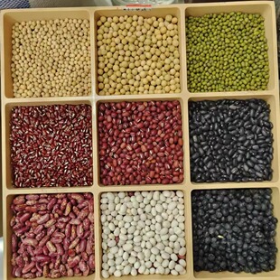 绿豆 农家各种黄豆 奶花芸豆 黑豆 1250g 红小豆