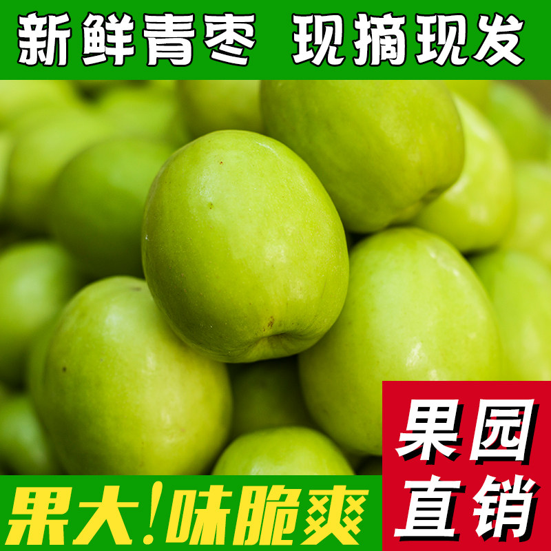 云南牛奶大青枣新鲜蜜枣当季枣子水果甜脆5斤现摘整箱鲜枣包邮