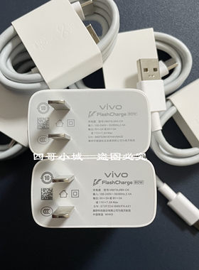 vivoX100Ultra80W充电套装