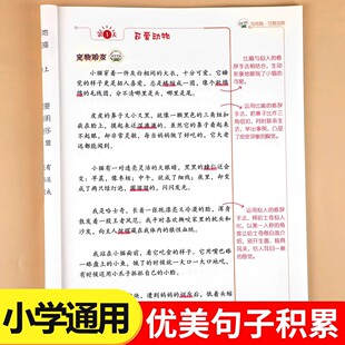 每日积累优美句子想象写景写人写事写物好词好段作文素材积累大全一二三四五六年级语文晨读美文每日一读小学生作文写作方法指导书