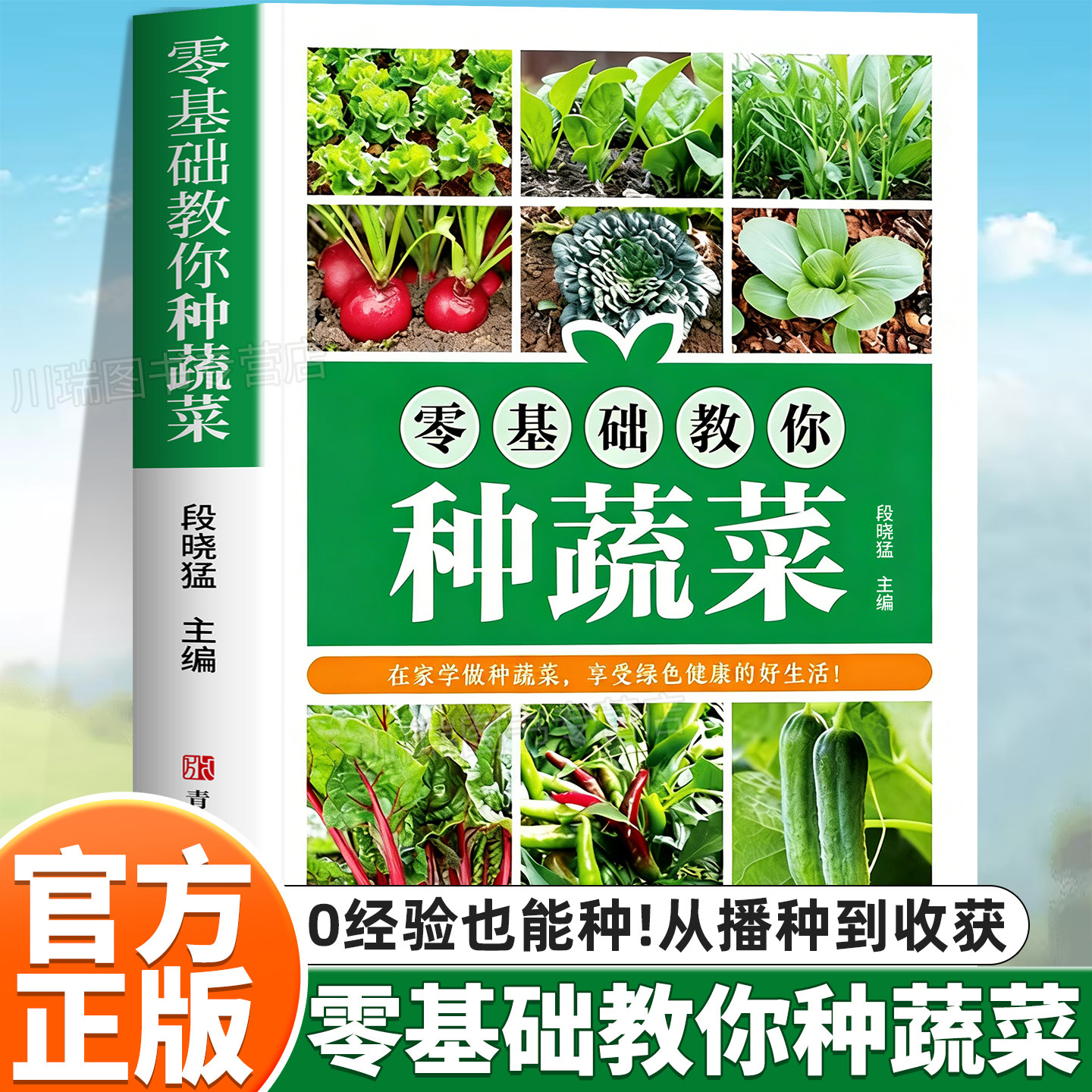 零基础教你种蔬菜正版书籍天然蔬菜种植宝典从种子到餐桌种植栽培技术经验书籍一看就懂一学就会手把手打造绿色健康菜园科学种植