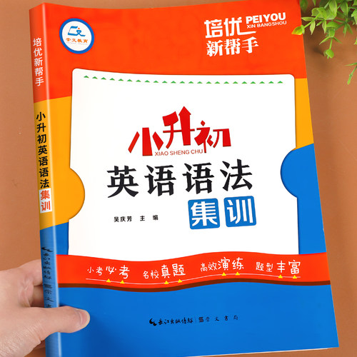 小升初英语语法集训强化训练