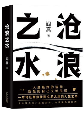 沧浪之水阎真代表作小说正版书