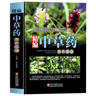 精编中草药原色图谱图解中草药彩图大全正版辞典对症图典医学经典绘本金钱草中医400余种常用药材识别基础知识入门书籍中医养生书