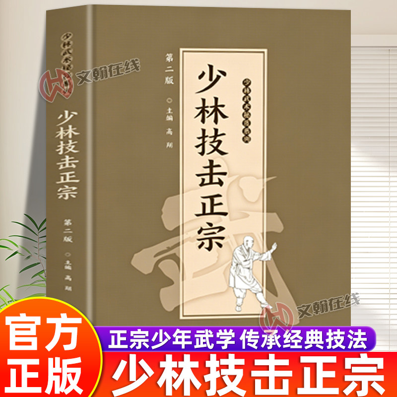 少林技击正宗传禅武精髓正版书籍