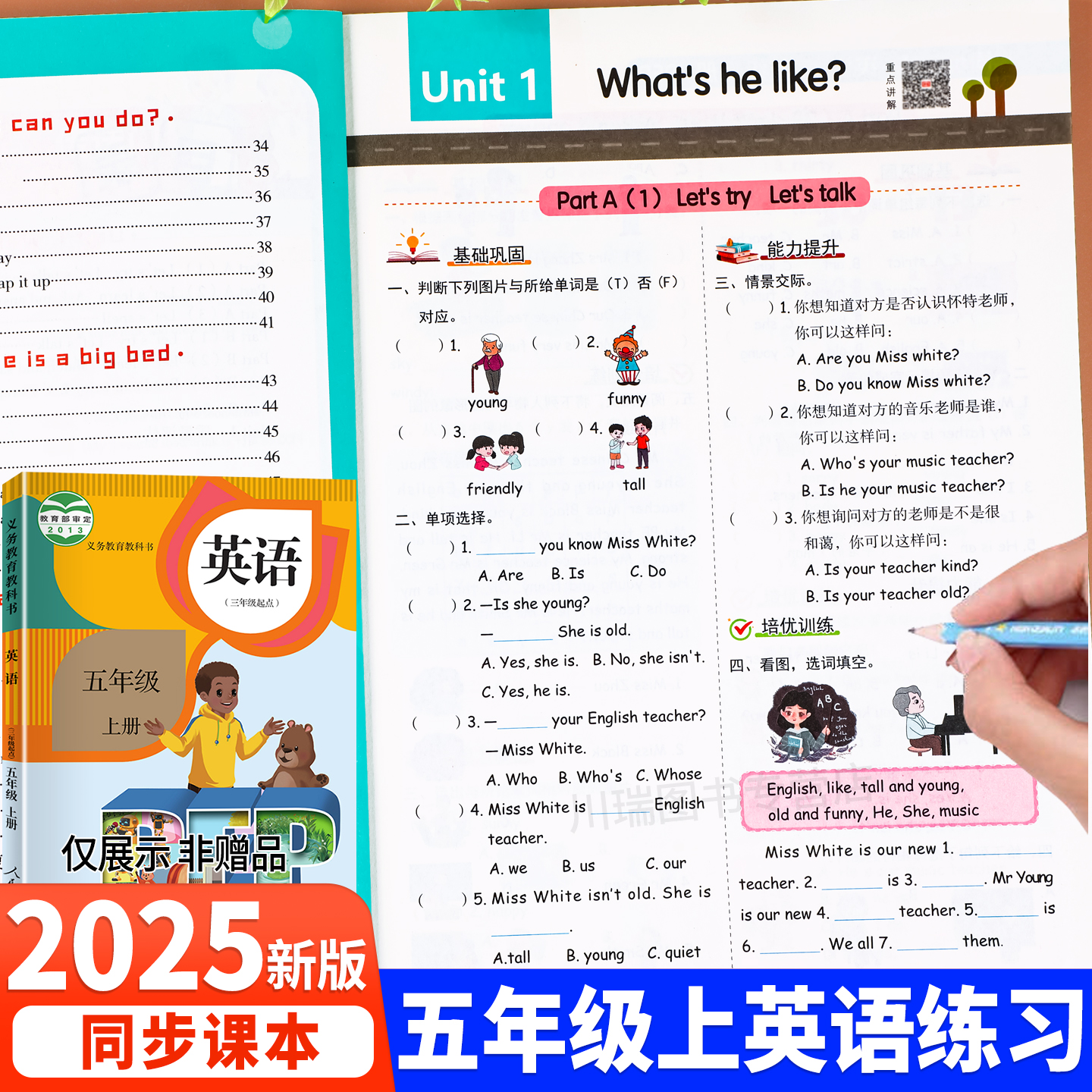 五年级上下册英语同步练习册专项