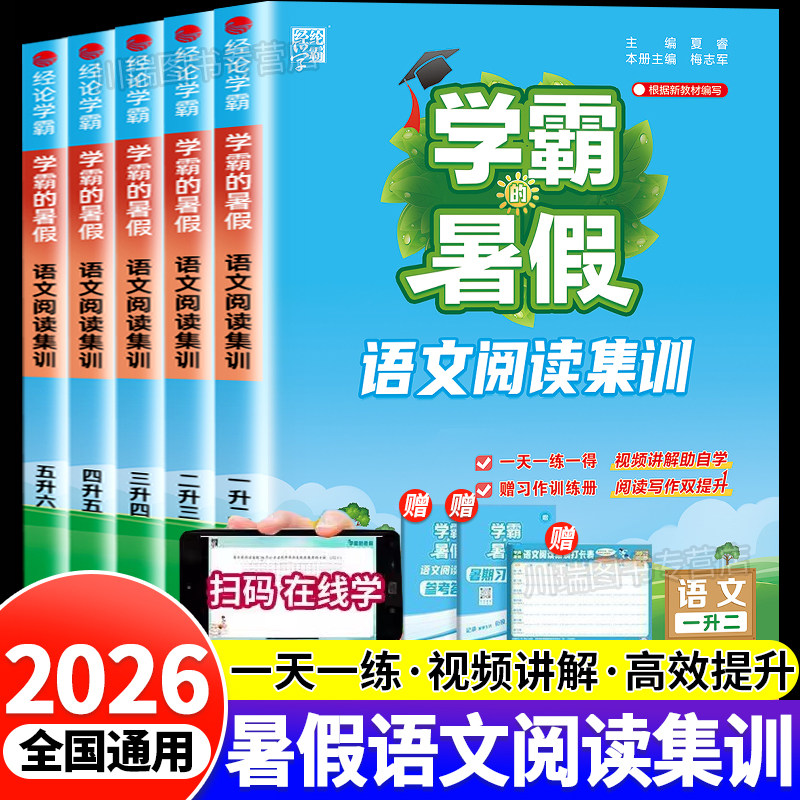 2026学霸的暑假阅读语文暑期阅读集训一升二升三升四升五升六年级人教版暑假作业上册下册阅读理解专项训练书暑假衔接教材每日一练
