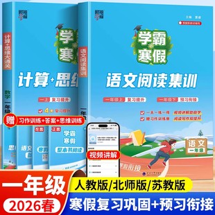 苏教版 北师版 小学生1年级同步练习册每日一练 学霸小学一年级上下册寒假作业一本通语文阅读集训数学计算思维大通关人教版 2026新版