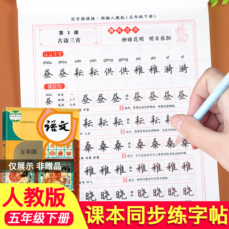 五年级下册语文同步字帖练字帖人教版写字课课练小学生5年级语文生字