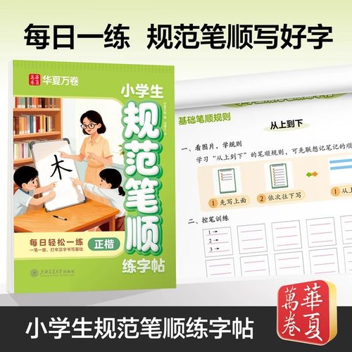 小学生笔顺规范练字帖每日一练