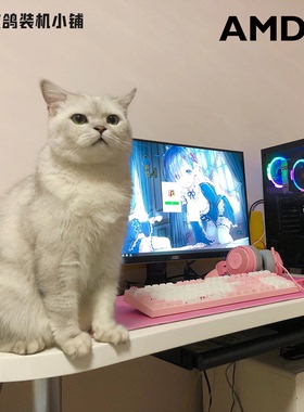 【 AMD系列】敌鸽电脑 鸽鸽电竞 -一台美好的台式机