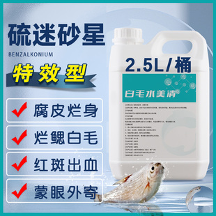 硫醚沙星水产养殖水霉病专治鱼药水霉清白毛病烂身烂尾专用水霉净