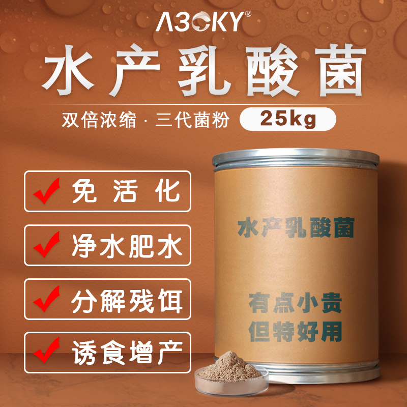 25kg桶装水产用高活乳酸菌
