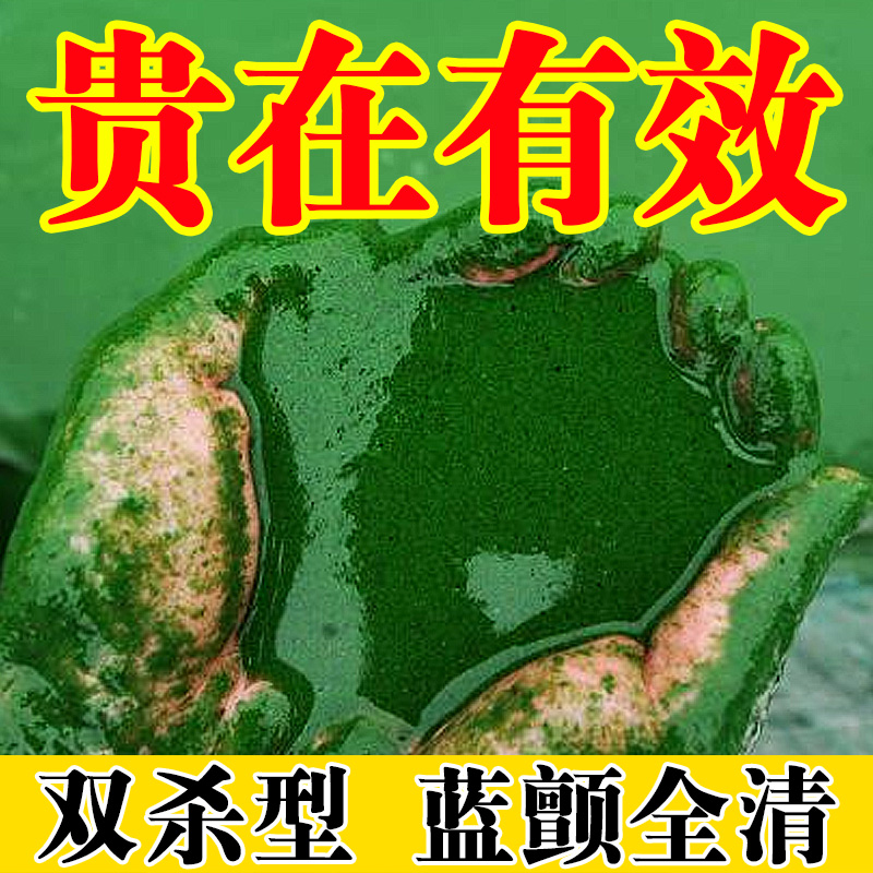 蓝藻分解素分解酶除藻剂鱼塘生物杀除蓝藻克星药净水青苔绿水净灭