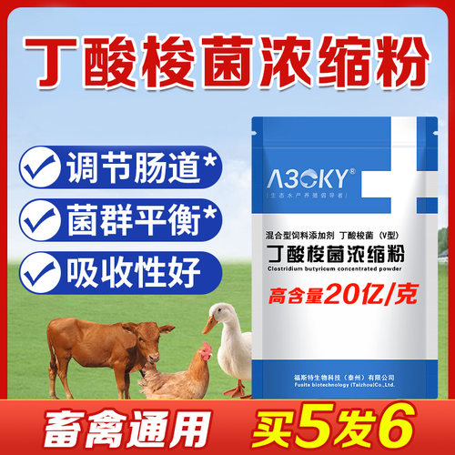 A30KY丁梭酸菌禽畜专用调节肠道